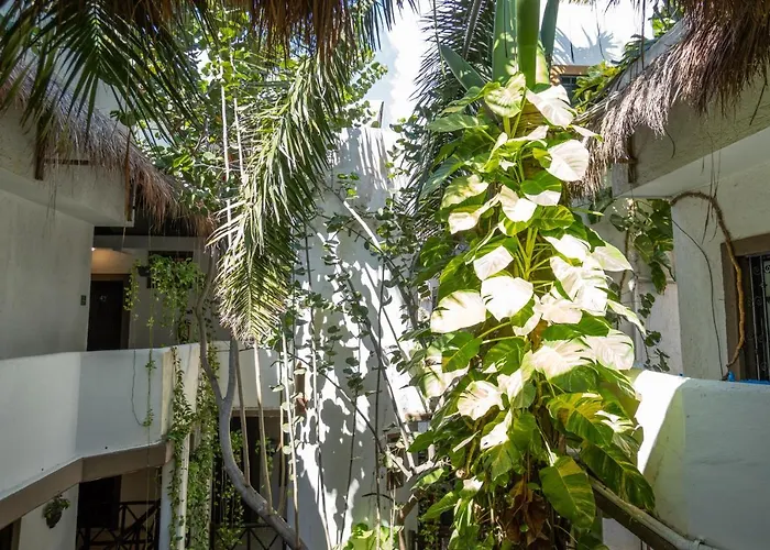 Mariposa Boutique - 5th Avenue Playa del Carmen