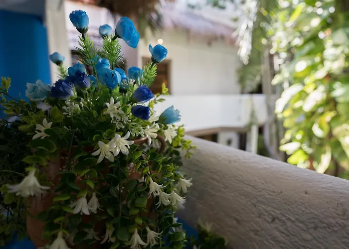 Mariposa Boutique - 5th Avenue Hotel Playa del Carmen